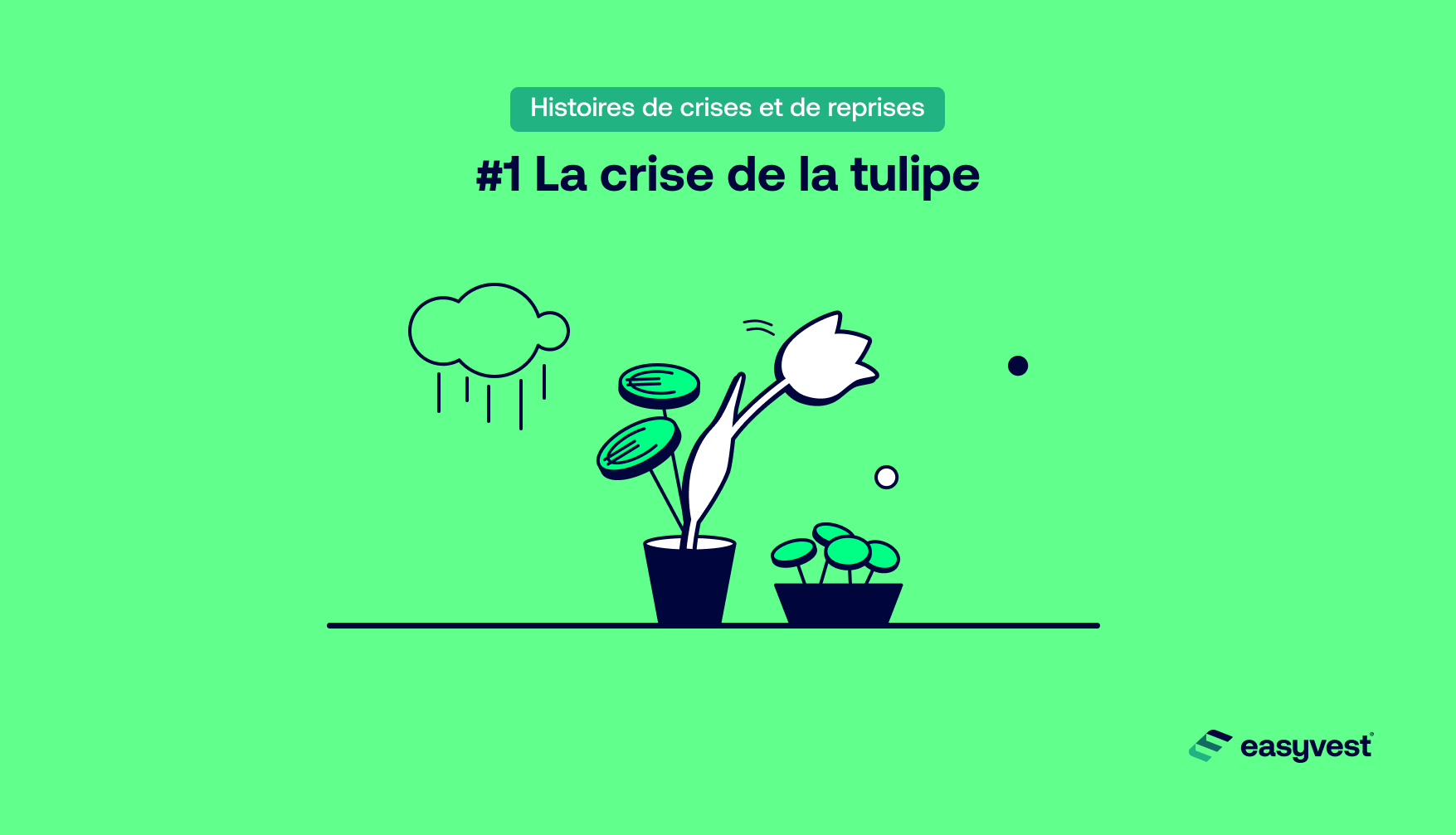 Histoires de crises et de reprises : la crise de la tulipe