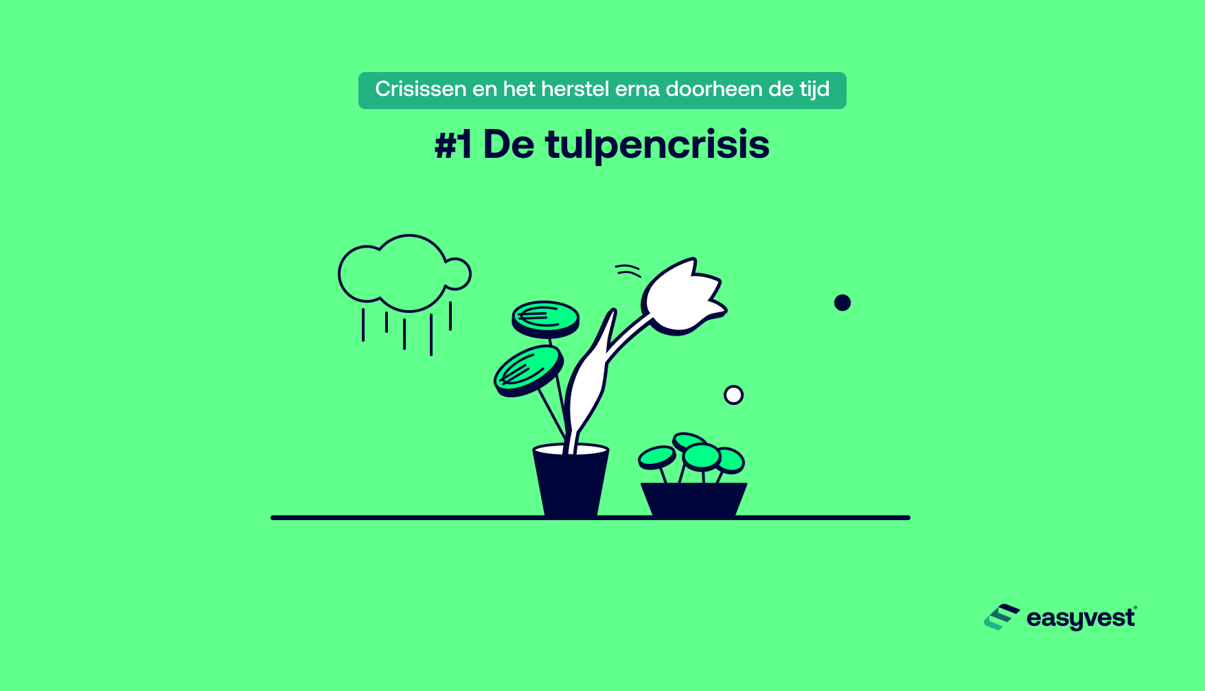Crisissen en herstel erna doorheen de tijd: de tulpencrisis