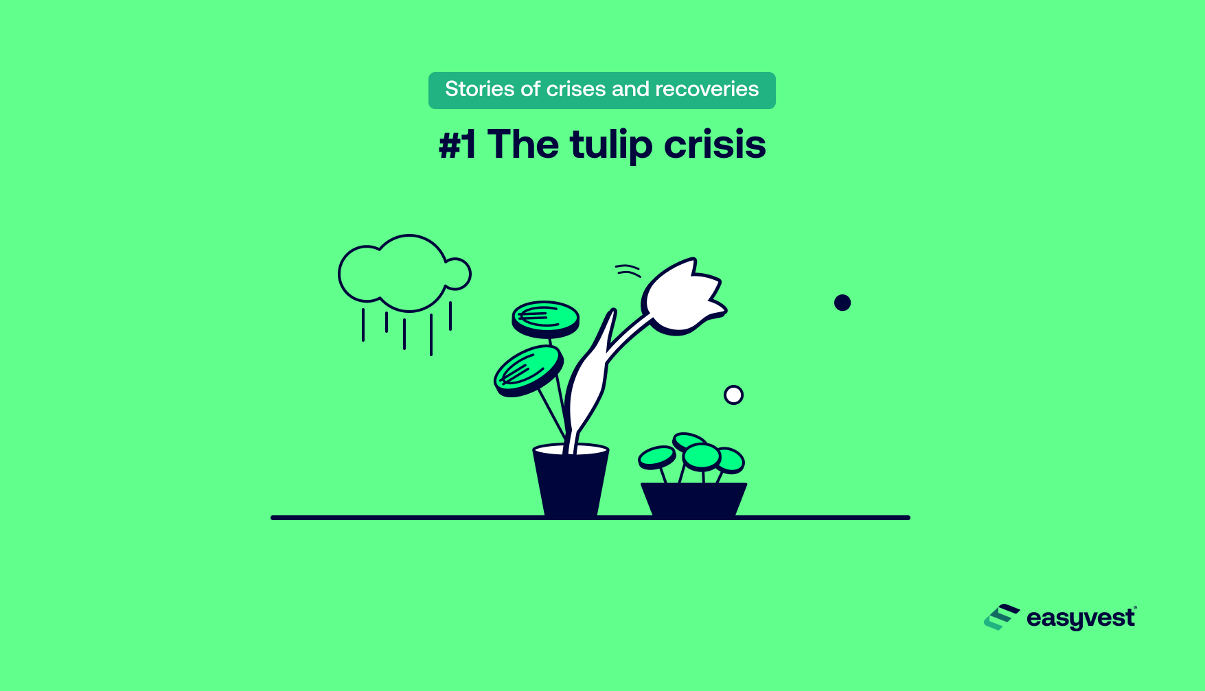Stories of crises and recoveries: the tulip crisis