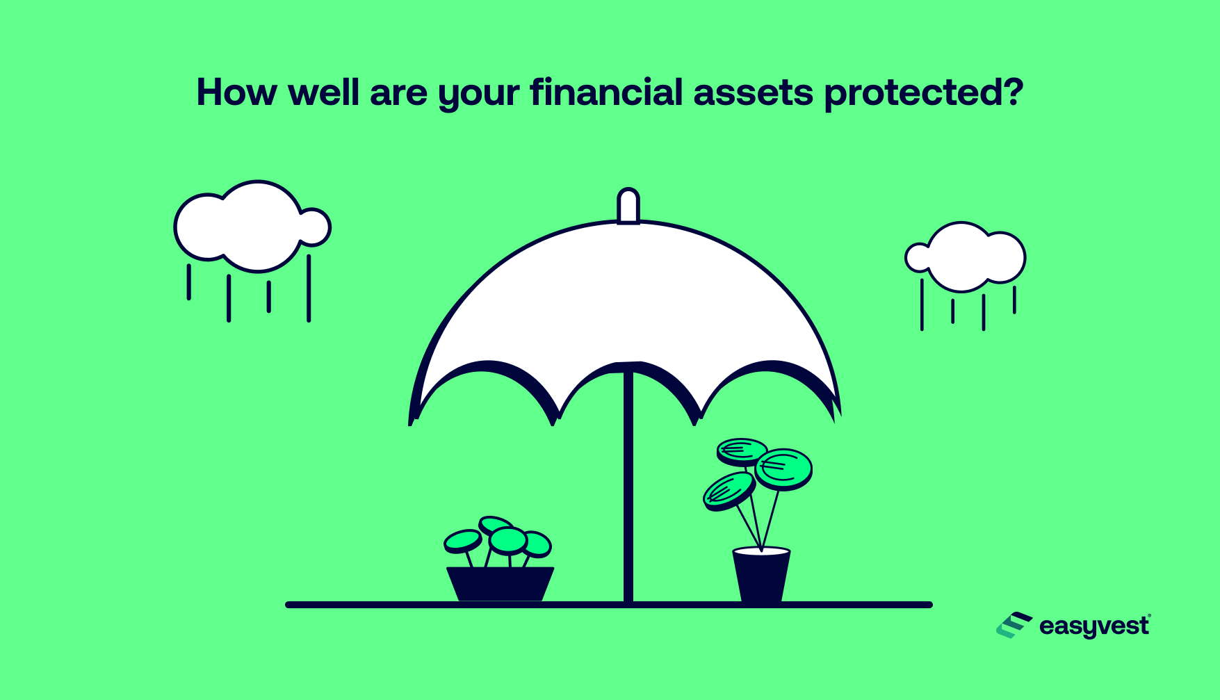 How well are your financial assets protected?