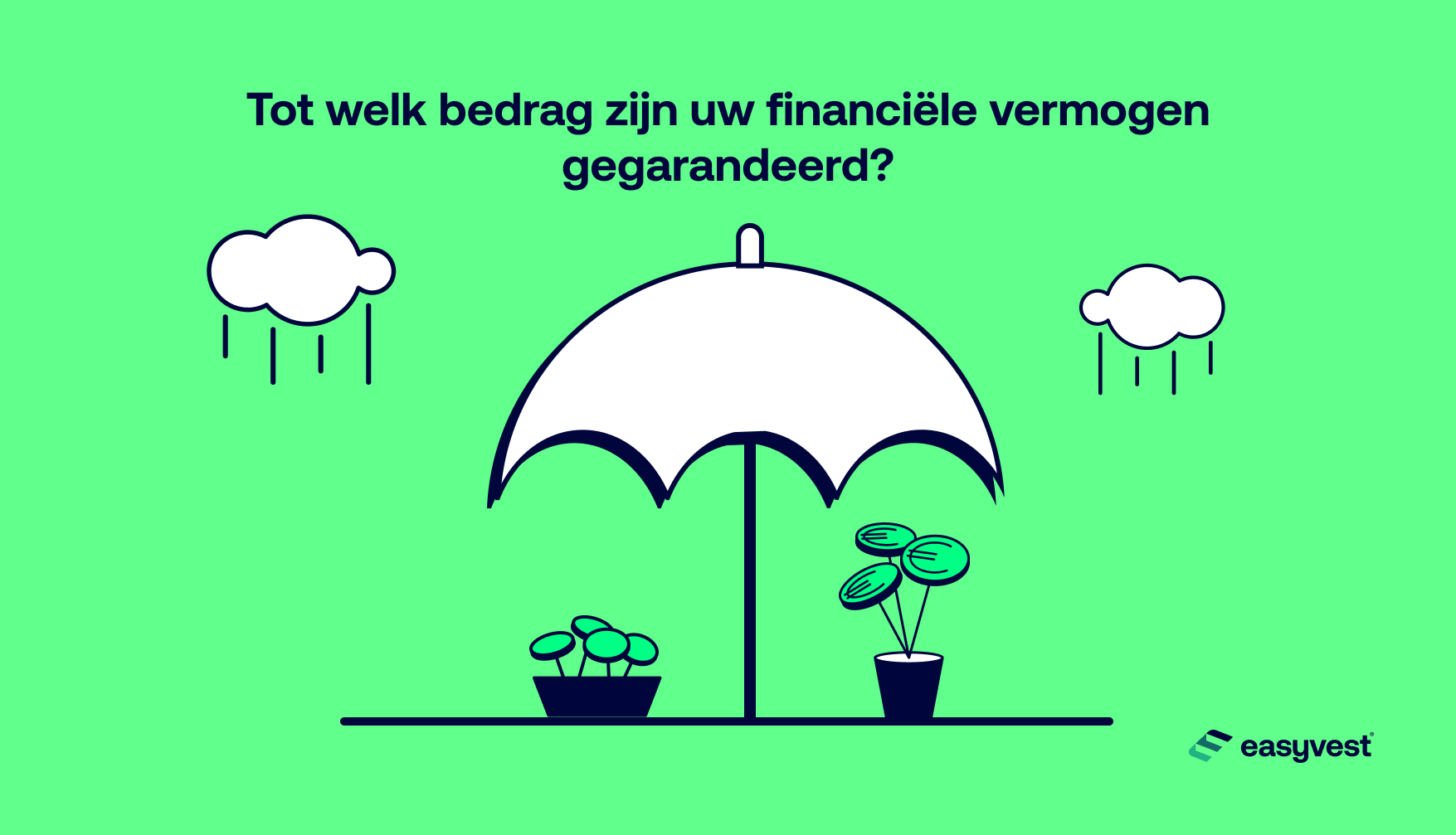 Tot welk bedrag zijn uw financiële vermogen gegarandeerd?